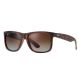 RayBan ? Justin Classic RB4165 865/T5